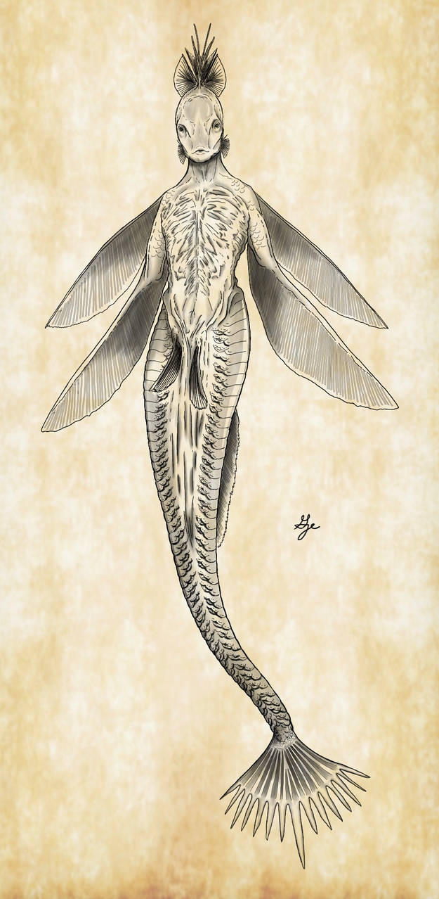 Seiren by ArchAngel23 on DeviantArt