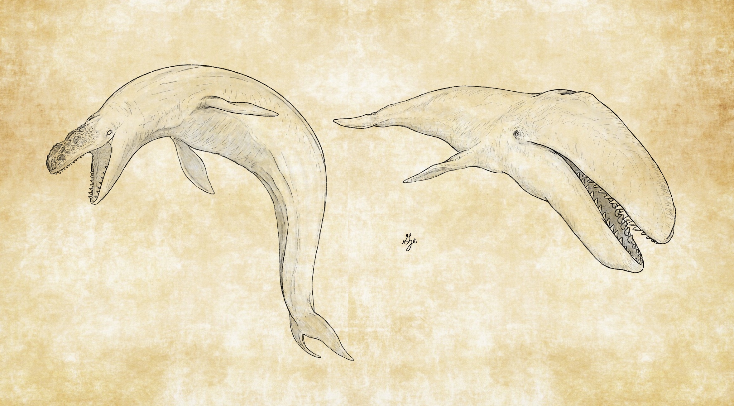 The Last Leviathans by ArchAngel23 on DeviantArt