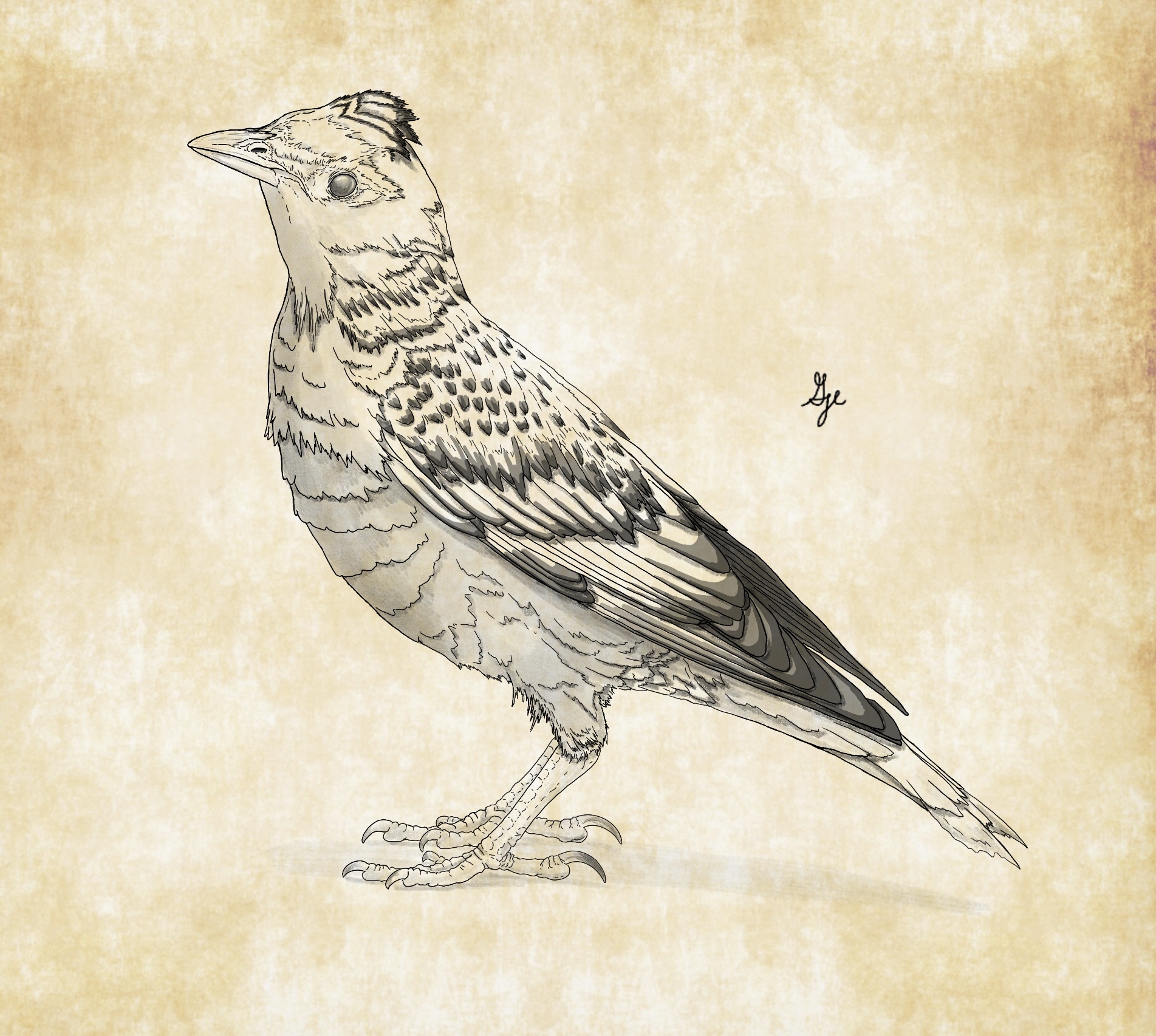 Forest Light by ArchAngel23 on DeviantArt