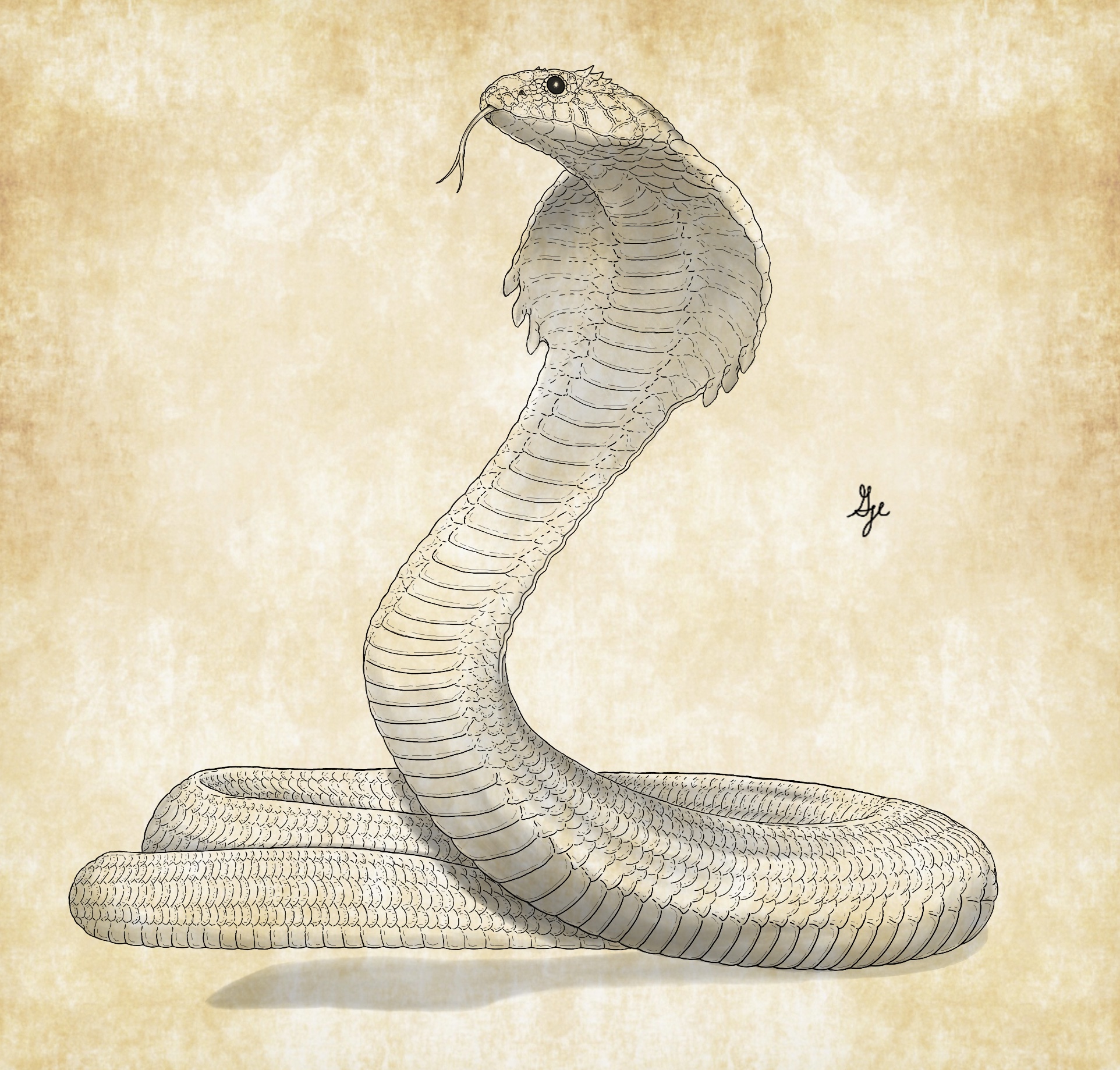 Great Serpent by ArchAngel23 on DeviantArt
