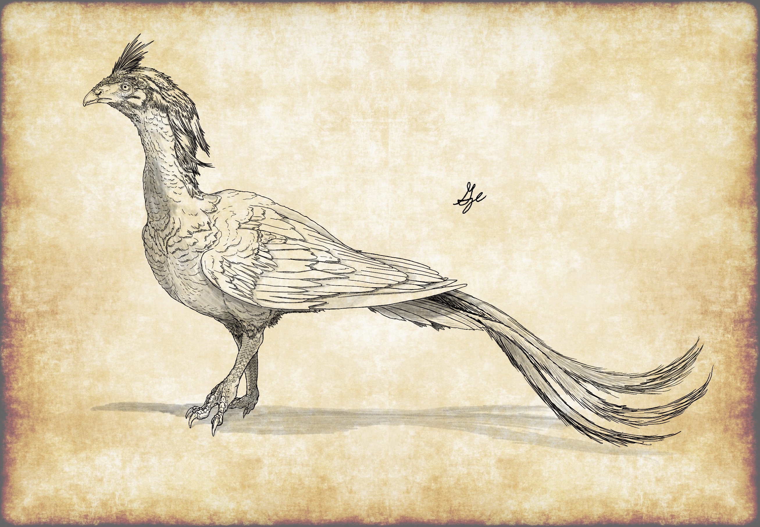 Eastern Symbol by ArchAngel23 on DeviantArt