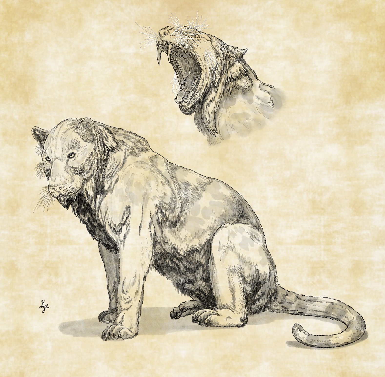 Hidden Panther by ArchAngel23 on DeviantArt