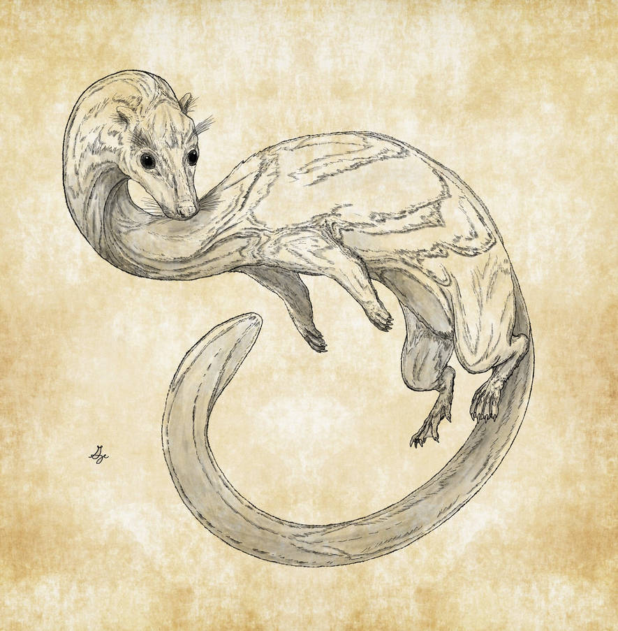 Creature of the Lake by ArchAngel23 on DeviantArt