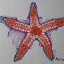 Aveau (Starfish) freehand drawing