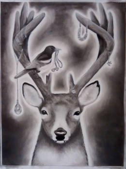 Stag and Doe