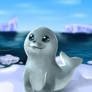 Little Seal