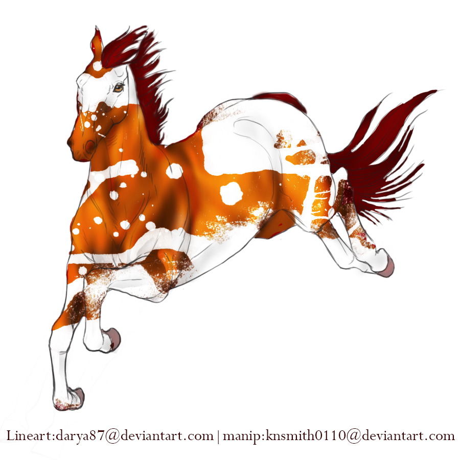 Painted Paint Horse