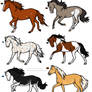 Horse Design Adopts 1 OPEN 4/6