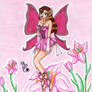 Pink Fairy