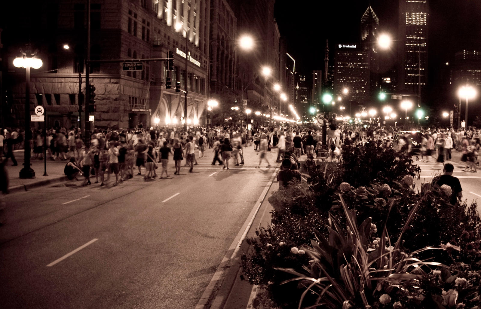 Lolla Street Madness by mantratek on DeviantArt