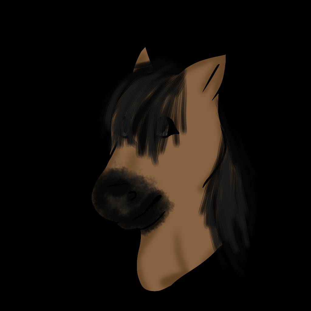 Cartoon horse head by snowsk28 on DeviantArt Cartoon horse head by snowsk28 on DeviantArt