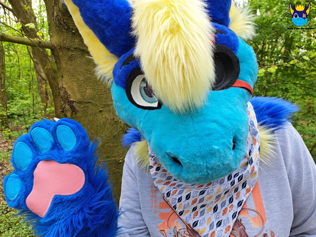 Fursuits On DutchAngelDragonsFC DeviantArt
