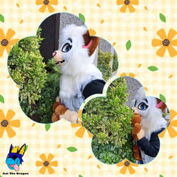 Amai at ConFuzzled 2025!