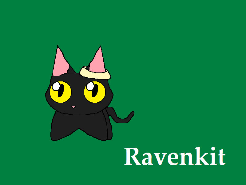 Raven Kit Ravenkit by 1kairi234 on DeviantArt