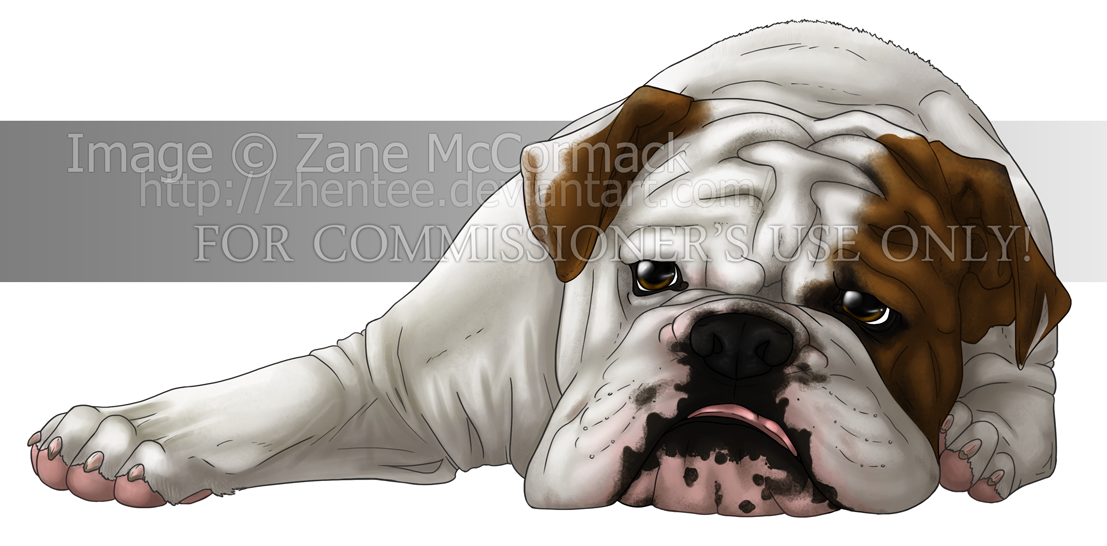 Bruiser Bulldog +commission+