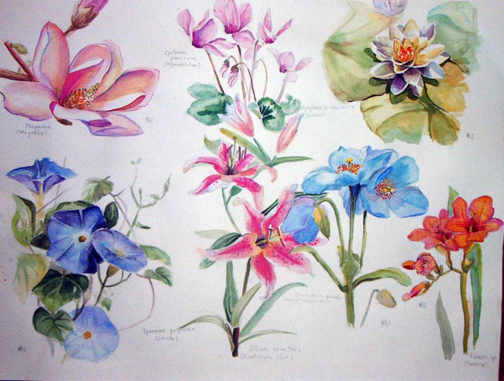 flower aquarell