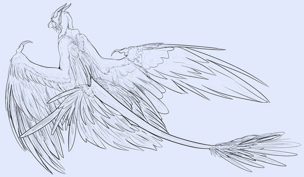 Wing Lineart