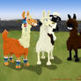 The Farmer's Llamas