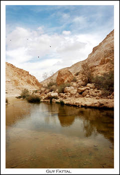 desert oasis