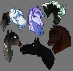 Rawr | Datura Mustang