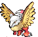 Pokemon splice request