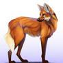 Maned wolf