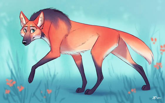 Maned Wolf (redraw)