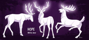 HOPE white deer poses