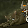 That Face...Link n Midna