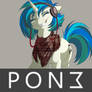 vinyl scratch