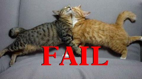 KITTLY FAIL