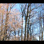 Four Seasons