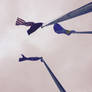 Flags from below