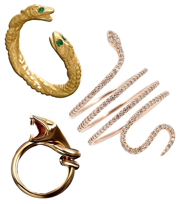 PNG Snake Ring