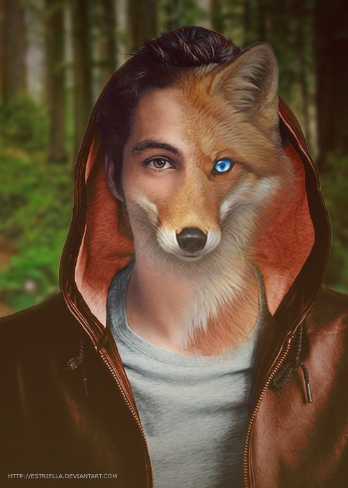 Stiles Fox