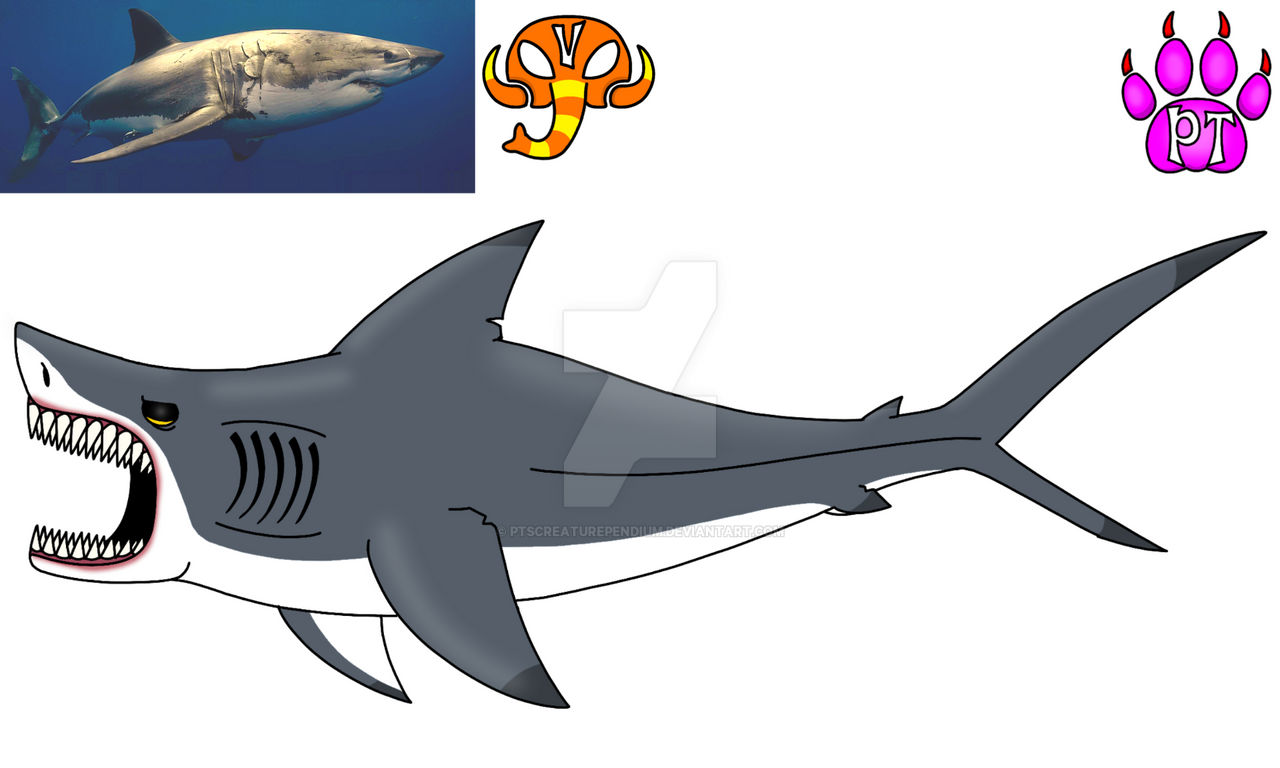 Shark Deviantart Great White Shark by PTsCreaturependium on DeviantArt