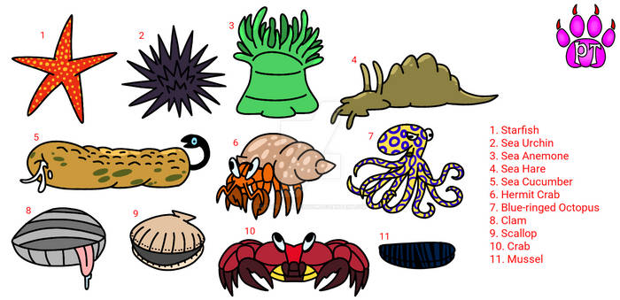 Pool Rope Creature PTsCreaturependium User Profile | DeviantArt