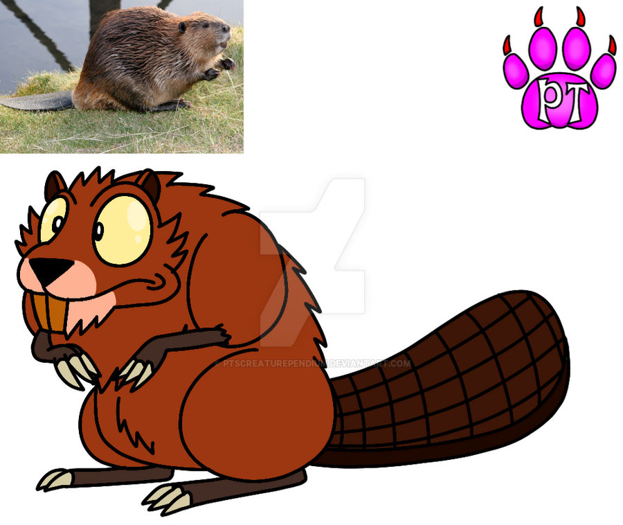 Beaver by PTsCreaturependium on DeviantArt