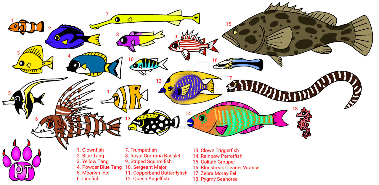 Anoymouse Fish Assorted Tropical Fish by PTsCreaturependium on DeviantArt