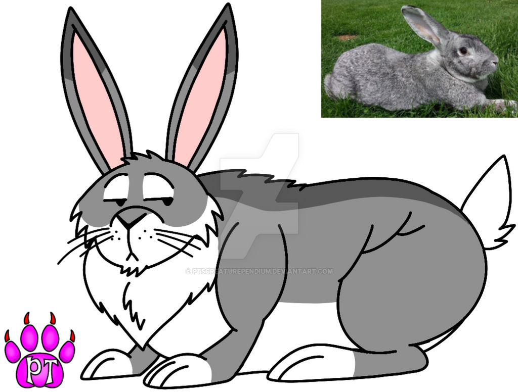 Flemish Giant Rabbit by PTsCreaturependium on DeviantArt