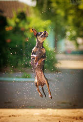 Dancing in the Rain