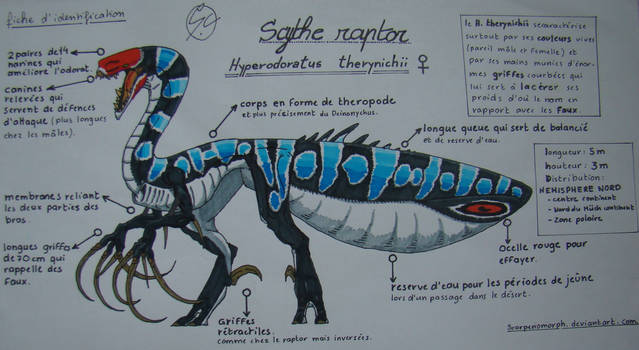 Raptor  Nord Couleurs