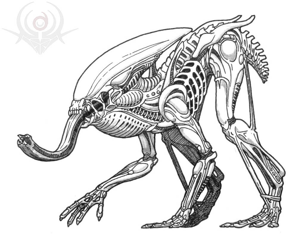Amorph Alien Amphibian Alien by scorpenomorph on DeviantArt