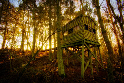 THE TREEHOUSE