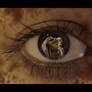 In your eye