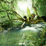 Green Fairy Fantasy