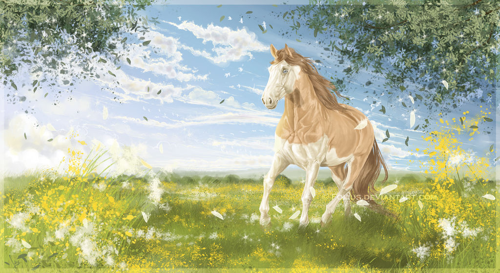 .:~Warm Welcome of the Sun~:. by Folius .:~Warm Welcome of the Sun~:. by Folius