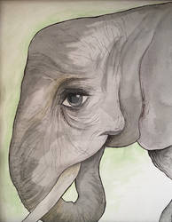 Watercolor Elephant