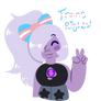 purple rock says trans rights