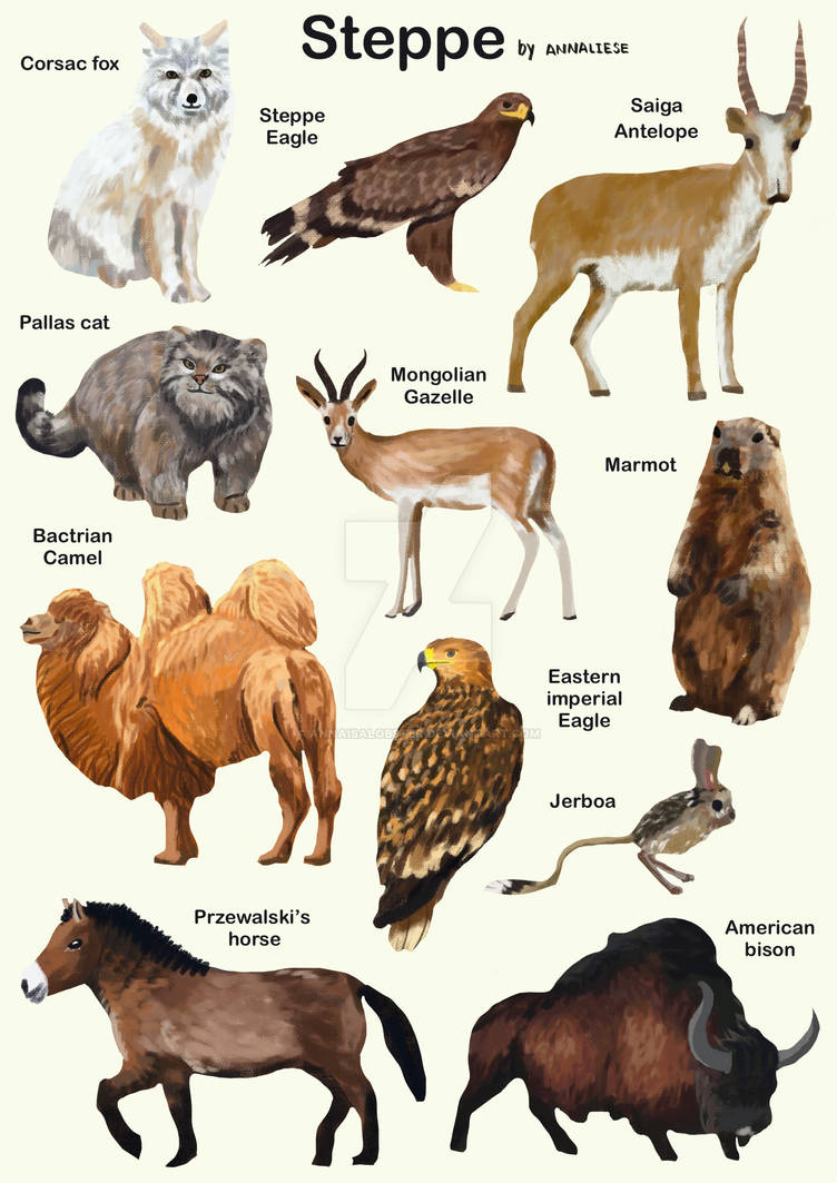 Steppe animals by annaisalobster on DeviantArt